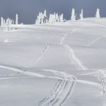 Brad Moorhead - @brad.moorhead.9 - Instagram
