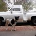 Brad Moreland - Facebook