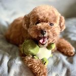 Brad Muller - @muller_s_brad - Instagram