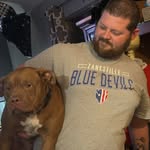 Brad Newell - @bradnewell90 - Instagram