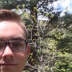 Brad Nichols - @bradbradnichols - Instagram