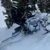 Brad Nichols - @bradnichols52 - TikTok
