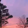 bradnichols205 - @bradnichols205 - TikTok