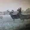 Brad Noble - @bradnoble0 - TikTok