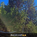 Brad Norris - @alexxyyuss - Instagram