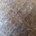 Brad Norris - @brad.norris.5623293 - Instagram