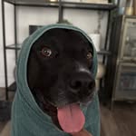 Brad - @brad_ogden__ - Instagram