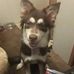Brad Ogden - Facebook