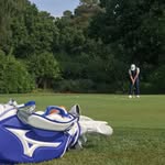 Brad oliver - @brad_olivergolf24 - Instagram