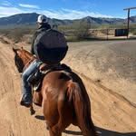 Brad Olson - @bradolson - Instagram