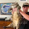 Brad olson - @braad04 - TikTok