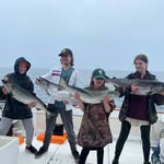 Bradley Painchaud - @bradleypainchaud - Instagram