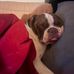 Bradley Pease - Facebook