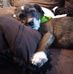 Brad Phipps - Facebook