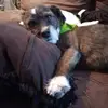 bradphipps342 - @bradphipps342 - TikTok
