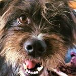 Brad Pittman - @pittman_brad - Instagram