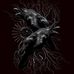 Brad Prince - Facebook