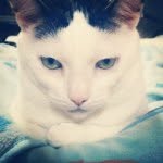 Brad Prince - @bradcat1 - Instagram