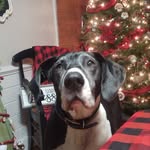 Brad Proffitt - @proffitt2274 - Instagram