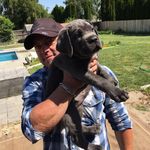 Brad Purvis - @purvis.brad - Instagram
