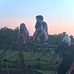 Bradley Purvis - Facebook