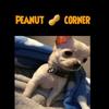 Brady Purvis - @brady.purvis - TikTok