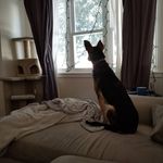 Brad Pye - @bradpye81 - Instagram