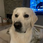Brad Reiter - @breiter - Instagram