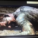 Brad Ritter - @ritter.brad - Instagram
