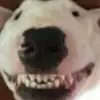 bradyritter - @bradyritter - TikTok