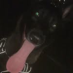 @brad_robbo17 - Instagram