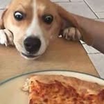 Brad Rossi - @brad_rossi - Instagram