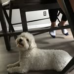 Rowan Turner Braddock - @rowanbraddock1 - Instagram