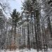 Brady Russo - Facebook