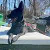 Brady Russo - @brady.russo - TikTok