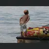 brady.ruth - @brady.ruth - TikTok
