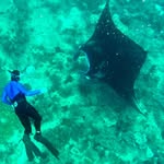 Brad Rutledge - @brutledgeig - Instagram