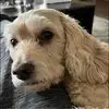 Brad Rutledge - @brad.rutledge4 - TikTok