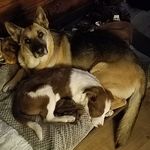 Brad Ryals - @bradryals - Instagram