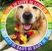 Bradley C. Saltzman - Facebook