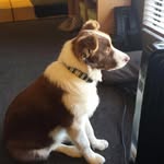 brad samuelson - @sammycoachsamuelson - Instagram