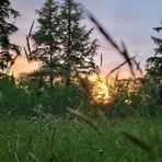 Brad Sargent - Facebook