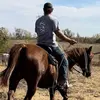 Brady__Schmitz - @brady__schmitz17 - TikTok