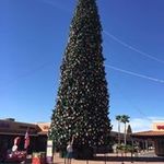 Brad Simonson - @bradley.simonson - Instagram