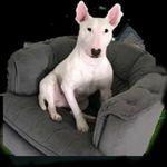 Braden Sisk - @braden_sisk - Instagram