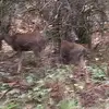 Brad Spangler - @brad.spangler - TikTok