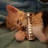 Brad Stephenson - @bradstephenson0 - TikTok