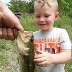 brad - @brad_sterling841 - Instagram