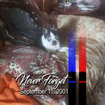 Brad Sterling - @brad.sterling.7393 - Instagram