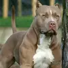 braden_stoddard - @braden_stoddard - TikTok
